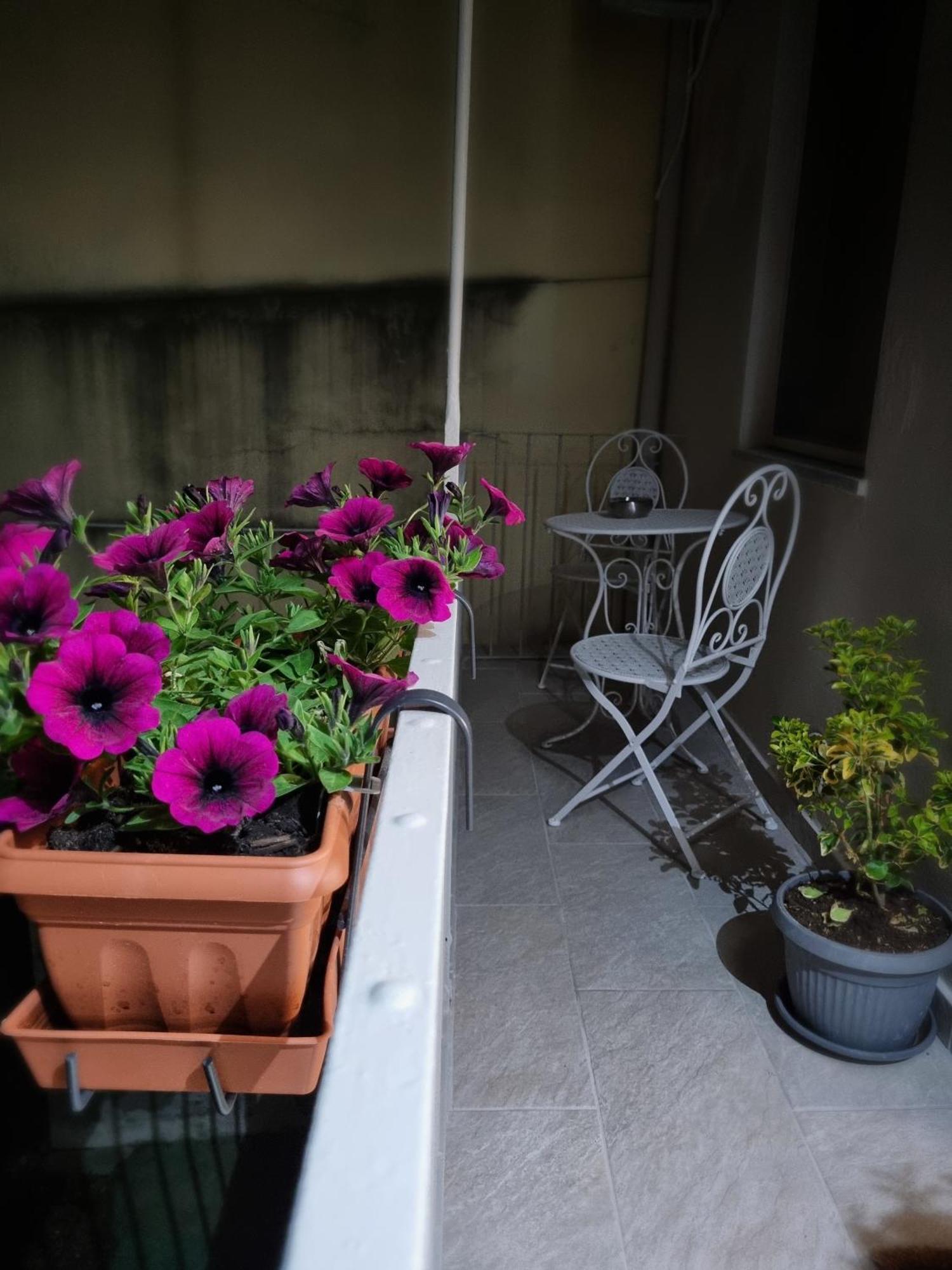 Ferienwohnung Ca Fiamma 2 Casale Monferrato Exterior foto
